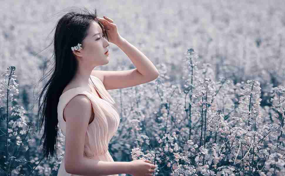 泛目录站群程序